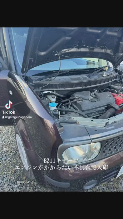 画像254