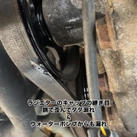 画像288