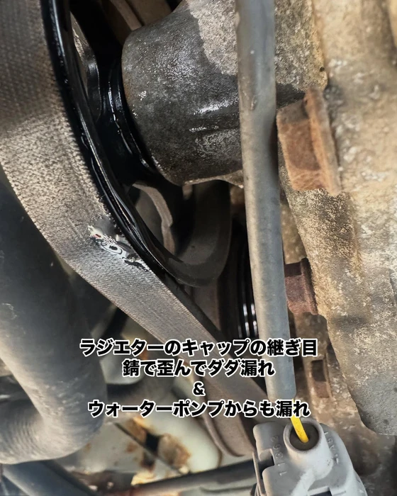 画像288