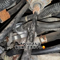 画像300